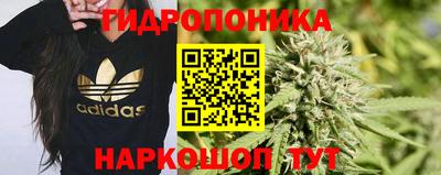 шишки Волжск