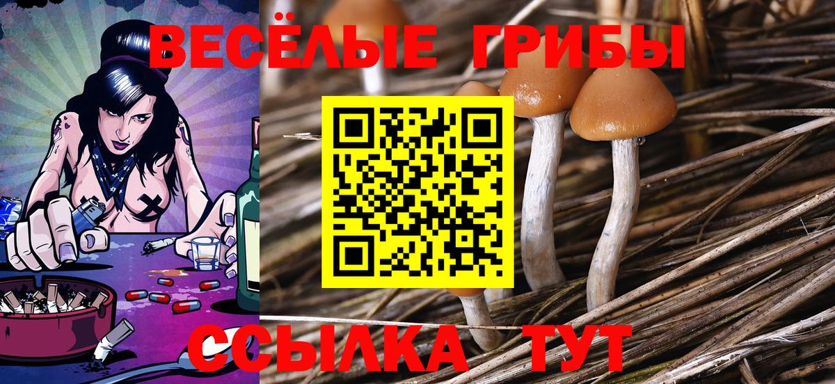 Лесосибирск  Псилоцибиновые грибы прущие грибы  Вход с VPN 